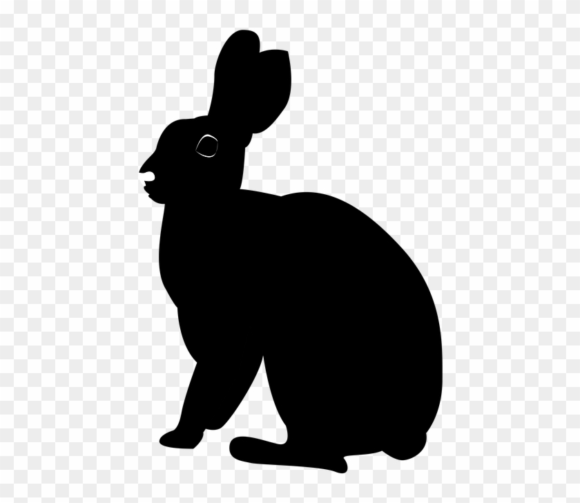 Bunny Rabbit Clipart Free Clipart - Black Rabbit Png #1245300