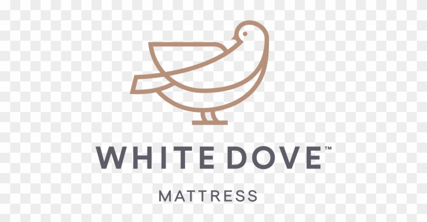 Dove White With Dove White - Calligraphy #1245305