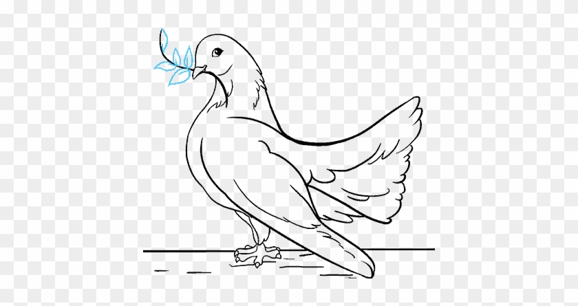 How To Draw A Dove In A Few Easy Steps - Drawing Of A Dove #1245313
