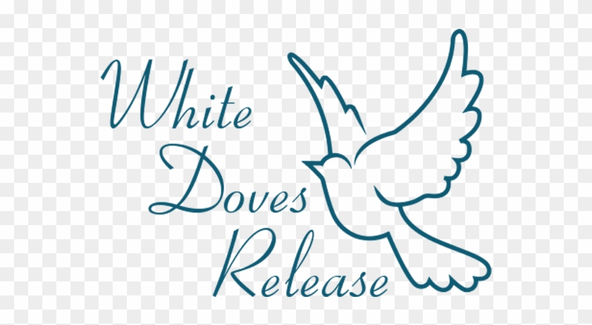 White Dove Release Lanarkshire And Glasgow - Alex Campos #1245315
