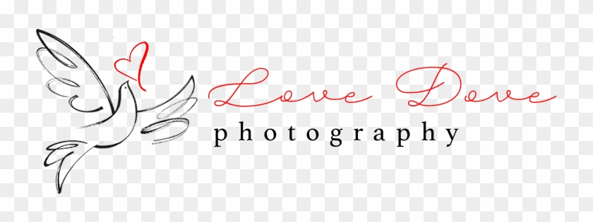 Love Dove Photography - Dove In My Window #1245335