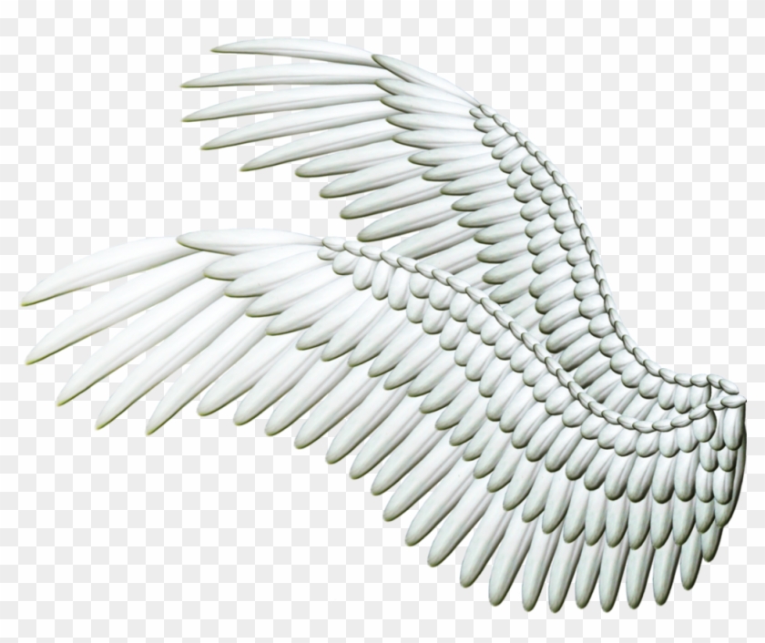 Featured image of post Side View Black Wings Png / Angel wings clipart black and white.
