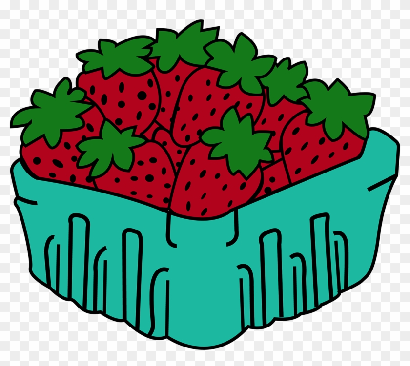 Portfolio - Portfolio #1245413