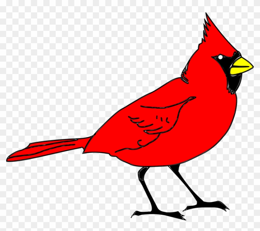 Feathered Friend Cardinals' Choice Is A Premium Blend - Clip Art Cardinal #1245518