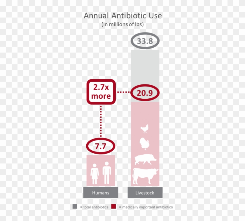 Comparison Of Annual Antibiotic Use In The United States - Screenshot #1245822