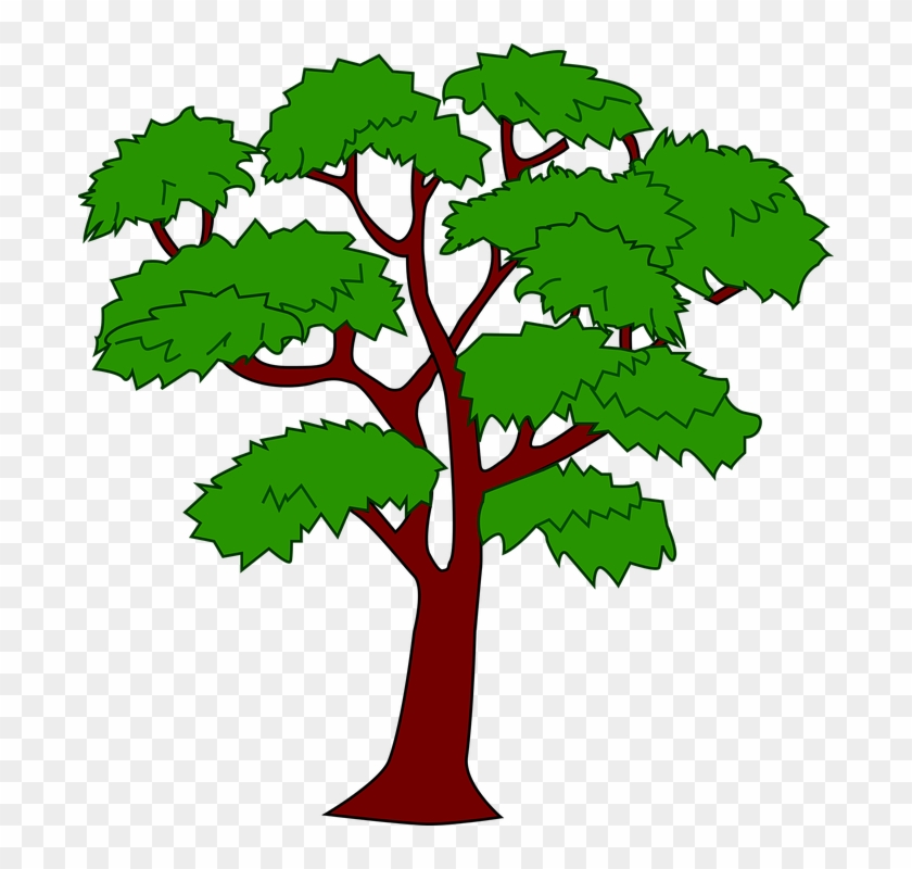 Tree House Clipart 29, Buy Clip Art - Mahogany Tree Of Belize #1245849