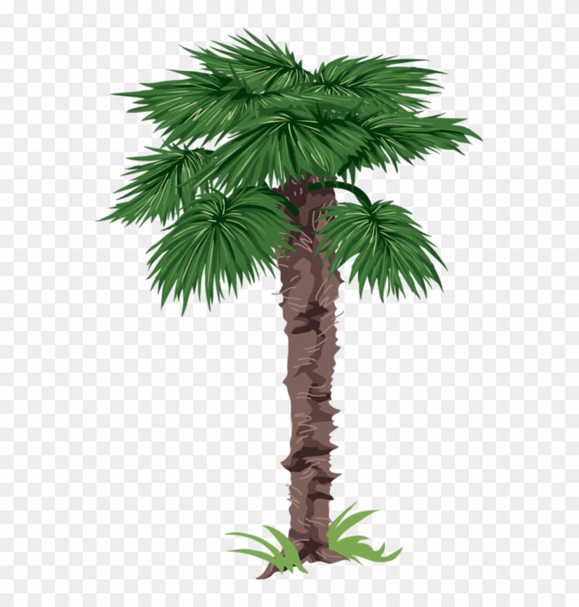 Prediseñadas De Árbolesdibujos De Árbolesramas - Desert Trees Clip Art #1245950