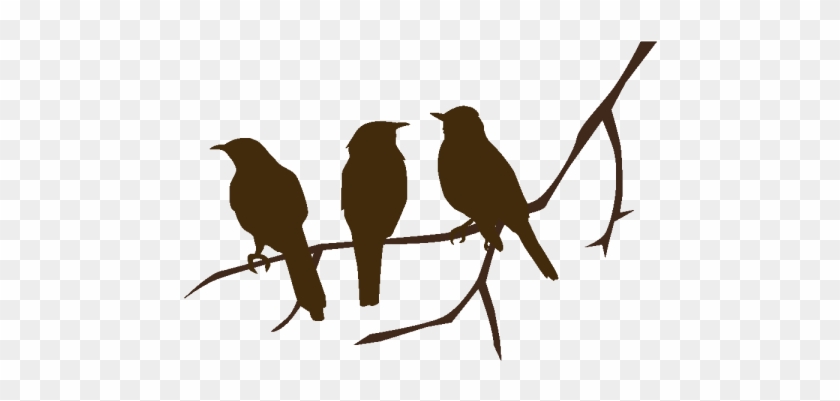 Vinilo Pájaros En Rama - Bird Silhouettes On A Branch #1245984