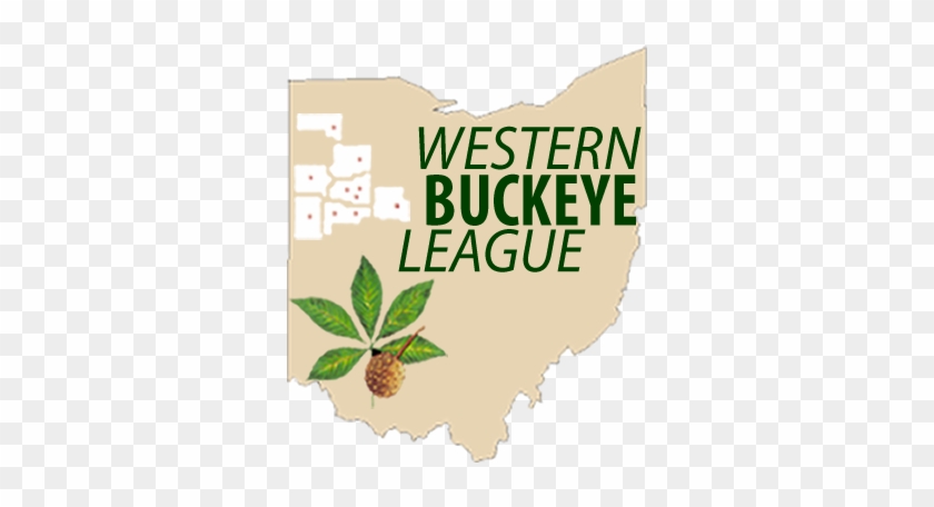 Wbl - Buckeye Leaf #1246031
