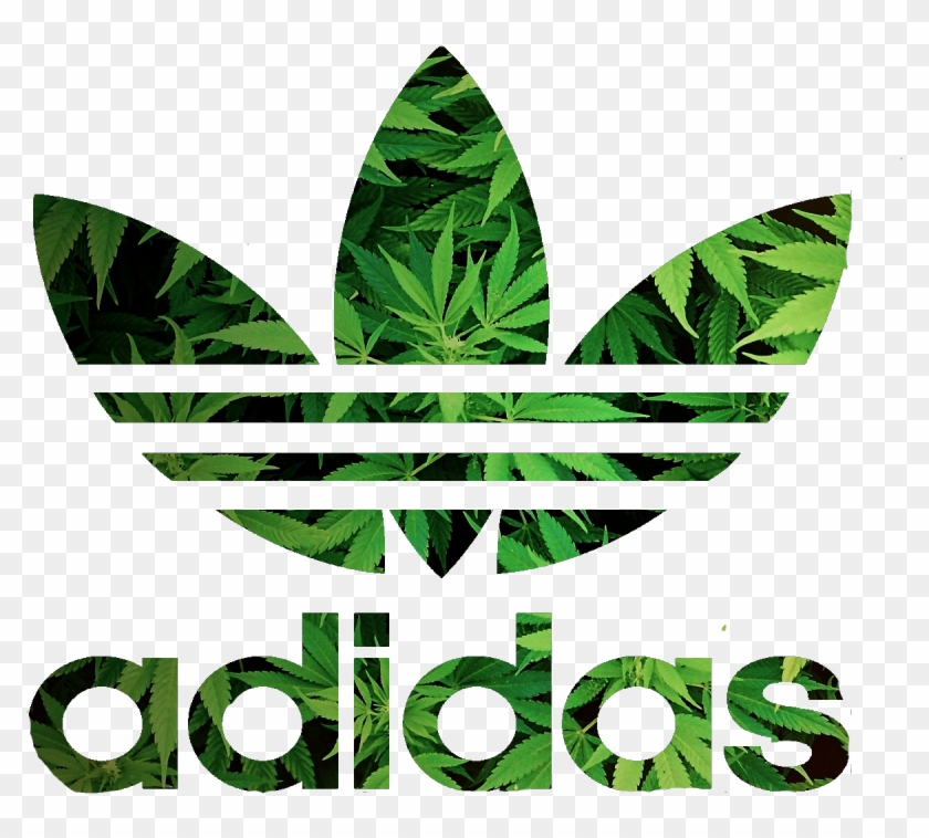 T-shirt Adidas Originals Cannabis Logo - Adidas Originals Logo Weed #1246053