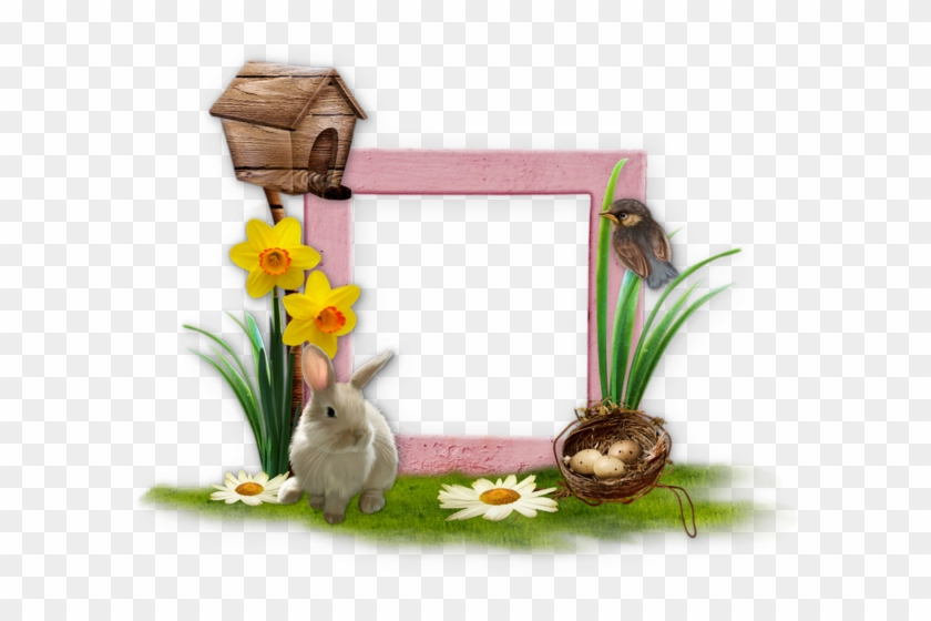 Picture Frame #1246166