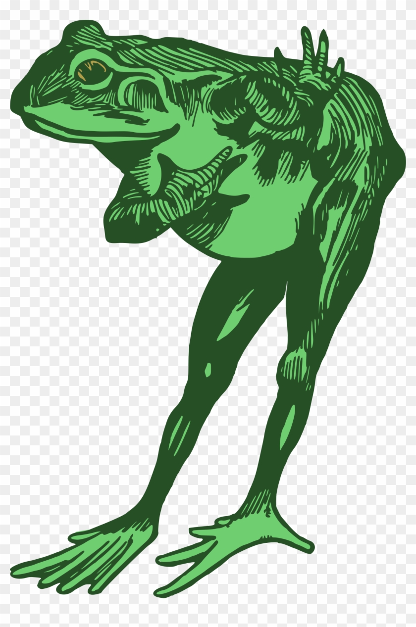 Big Image - Green Frog #1246192