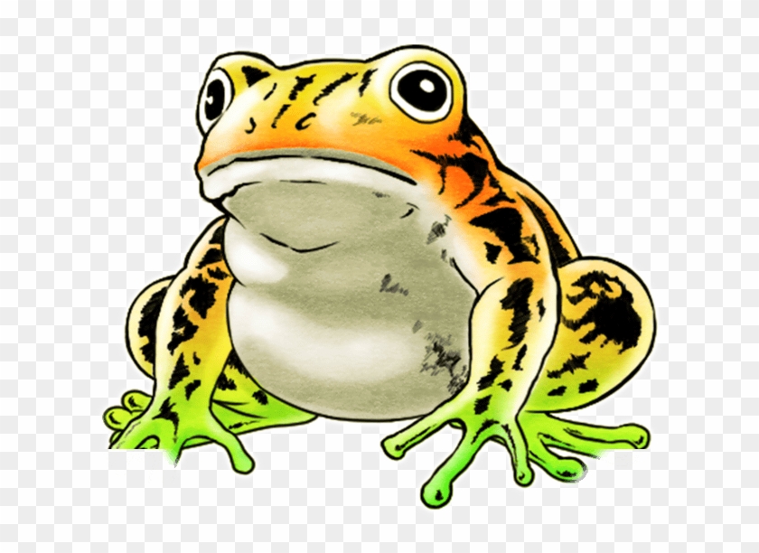 Unit Frog Big White - Frog #1246239
