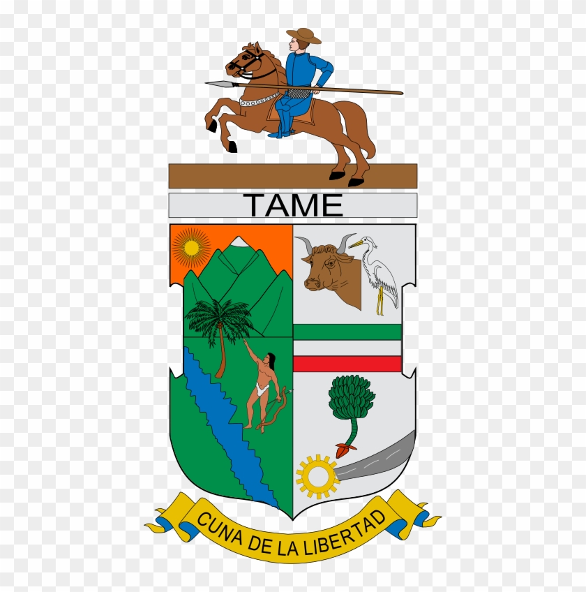 133 × 240 Pixels - Escudo De Tame Arauca #1246336