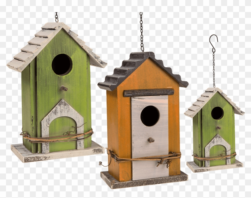 Build A Bird House Plans Joe Dickie Photography Who,old - Dřevěná Ptačí Budka #1246507