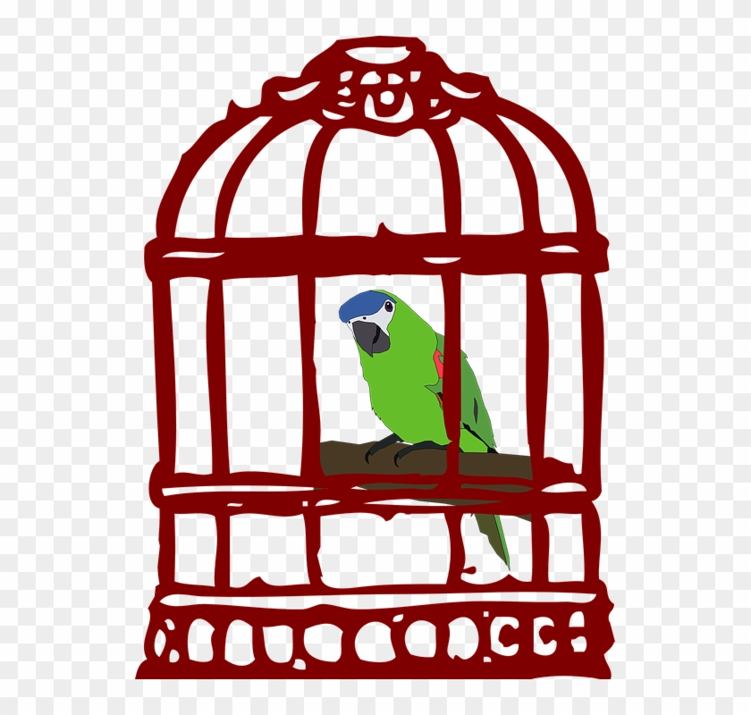 Bird In A Cage - Quote About Achieving Dreams #1246513