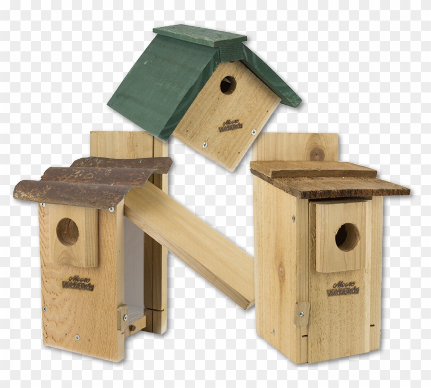 Bird - Nest Box #1246543