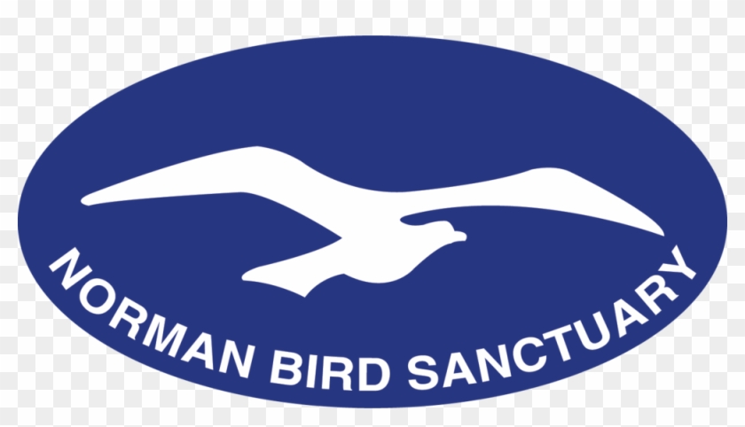 Norman Bird Sanctuary #1246755