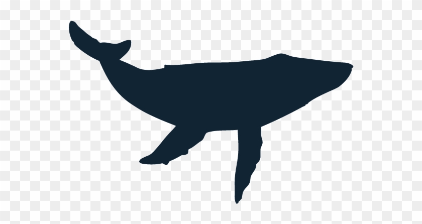 Sponsors - Whale Silhouette Transparent #1246777