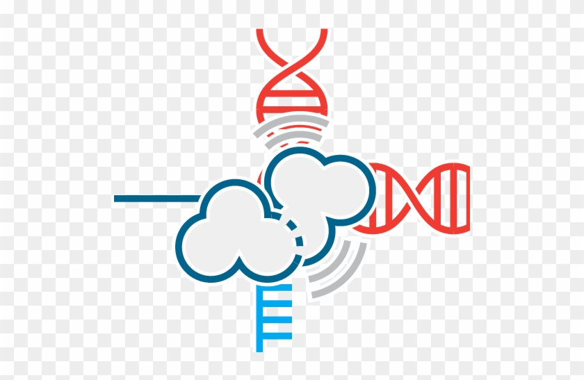 Measure Activity & States Of Transcription With Force - Optical Tweezers #1246797