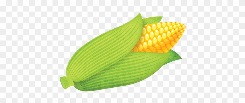 Sweet Corn - Sweet Corn #1247267