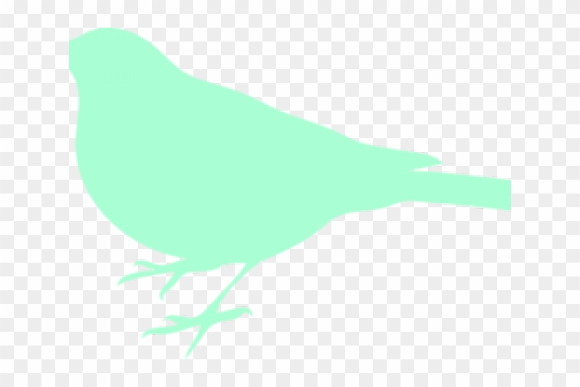 Mint Clipart Bird - Complices: Esta Vez, La Aventura De Leer #1247294