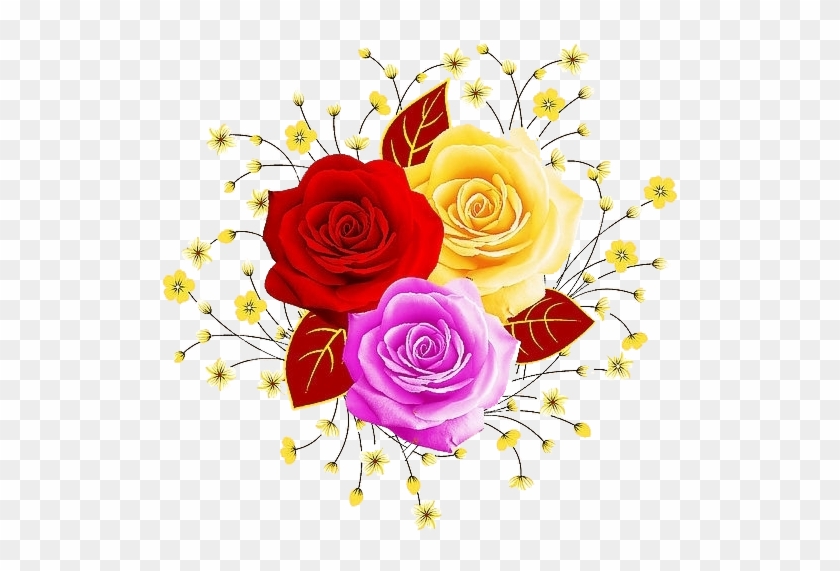 Garden Roses Beach Rose Flower Illustration - Portable Network Graphics #1247377