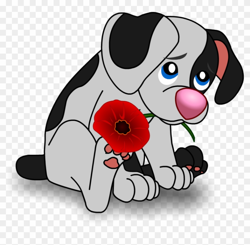 Today - Poppy #1247441