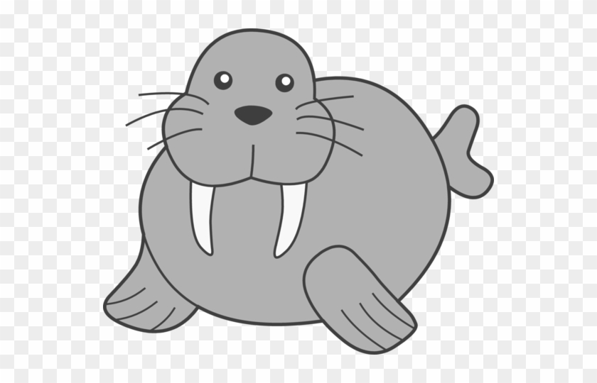 Showing Walrus Clipart Pictures With A Bite Imagegator - Walrus Clip Art #1247481