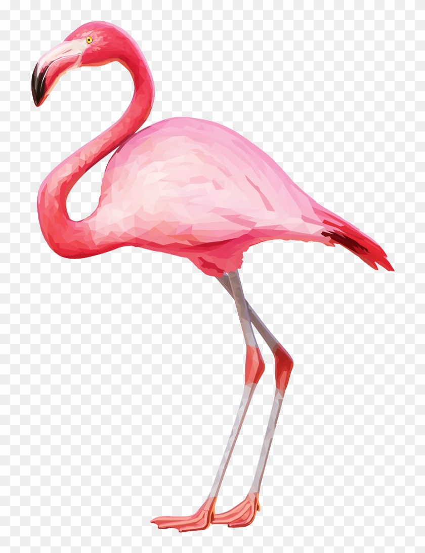 Download Png Image Report - Flamingo Png #1247572