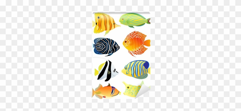 Fotobehang Collectie Van Tropische Vissen • Pixers® - Tropical Fish Pdf #1247639