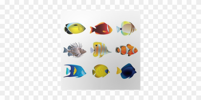 熱帶魚 向量 #1247647