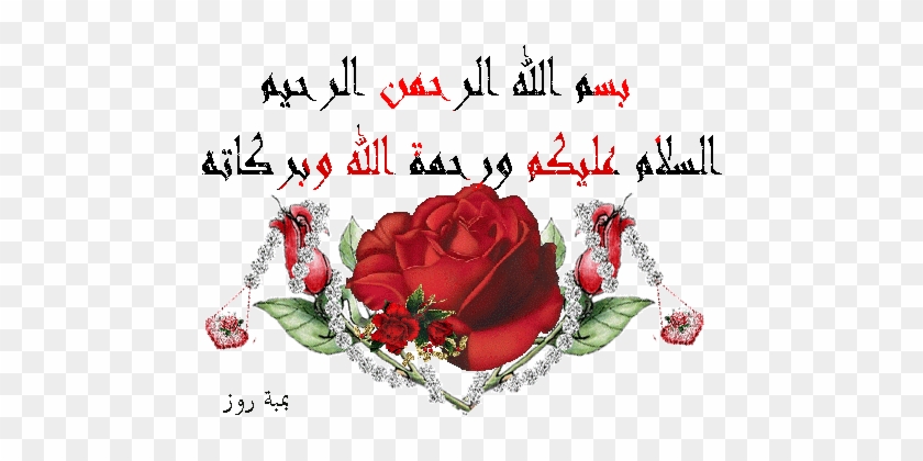 لعبة السودوكو حصرى على فتكات وبس - Rose #1247996