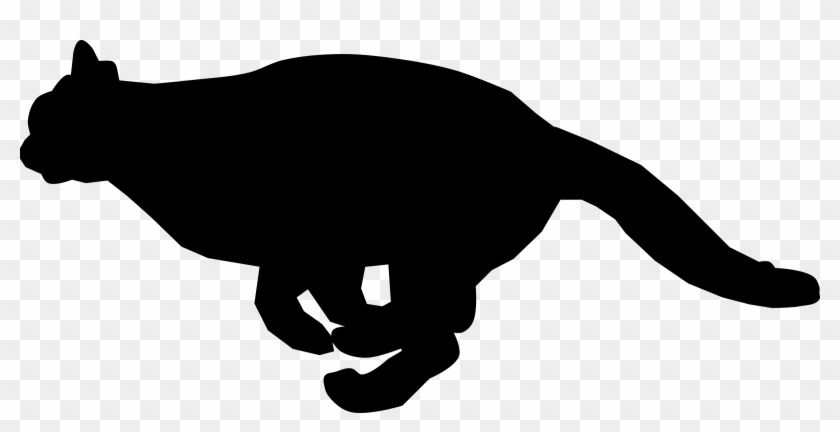 Cat Clip Art - Cat Running Png #1248276