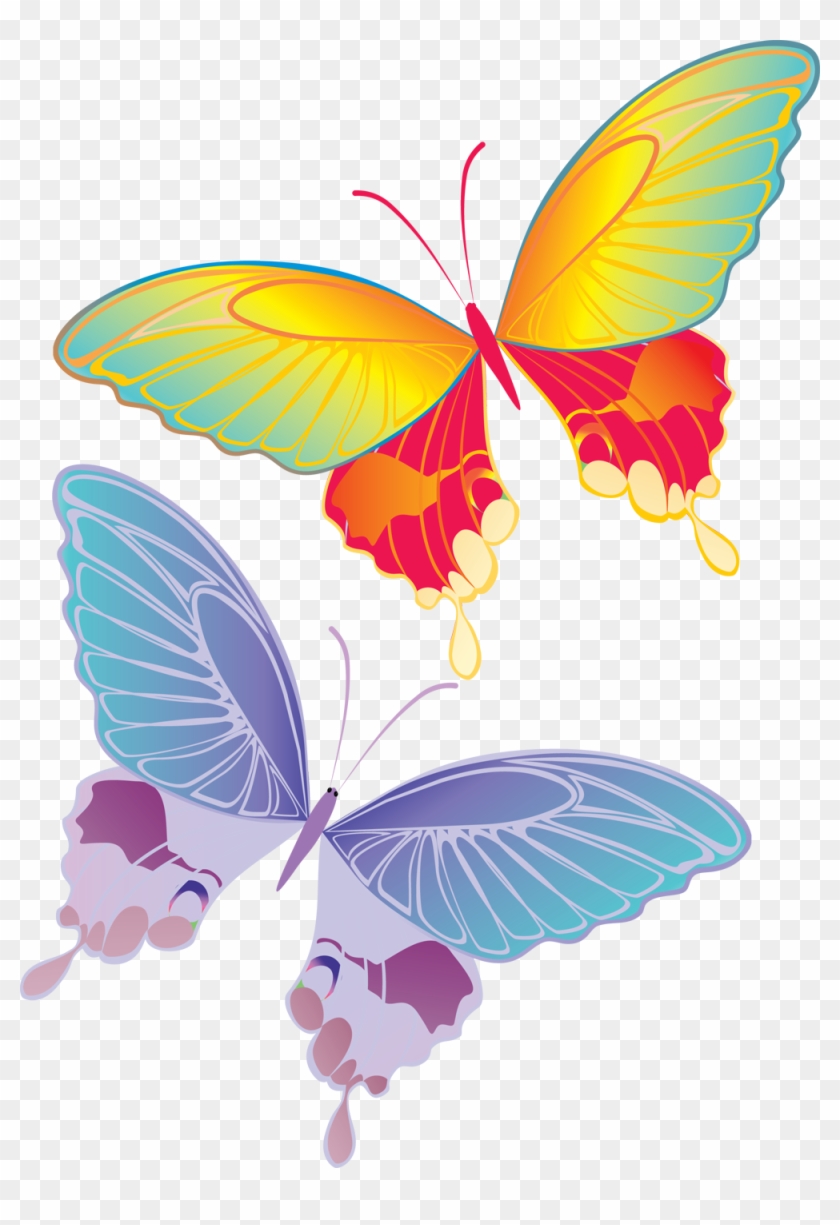 «две Цветные Бабочки» Карточка Пользователя Vawri4uk - Jujeo View Window Leather Card Holder Case #1248298