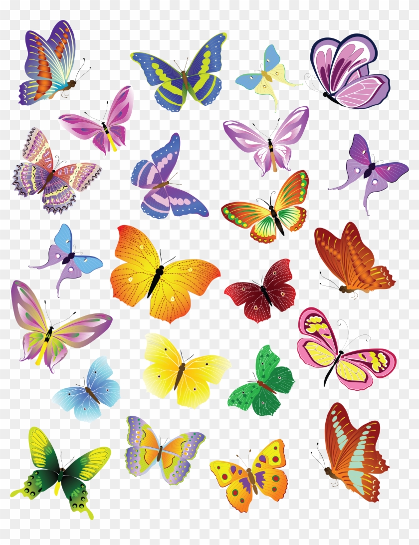 Картинка В Png - Butterfly Vector Free #1248364