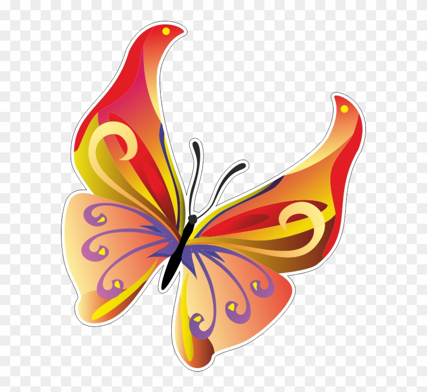 Бабочка - Butterfly Vector #1248366