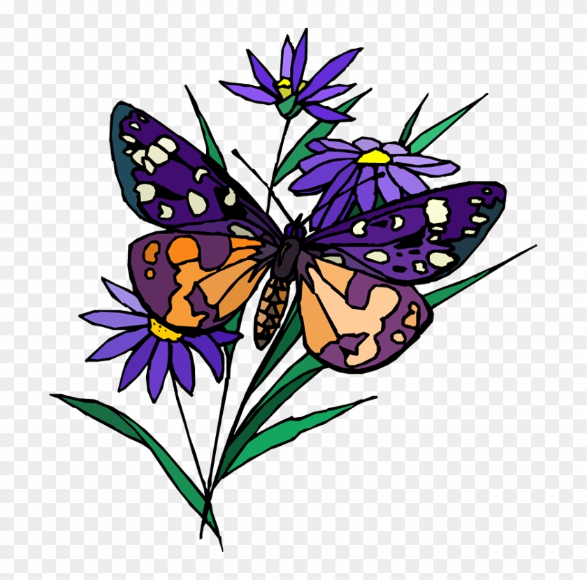 Hello Html E66e49a - Butterfly #1248387