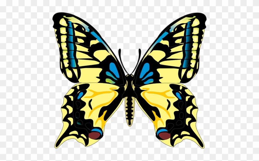 Бабочки - - Просмотров - 157 - Добавил - Danjuta - - Нарисованные Бабочки Без Фона #1248402