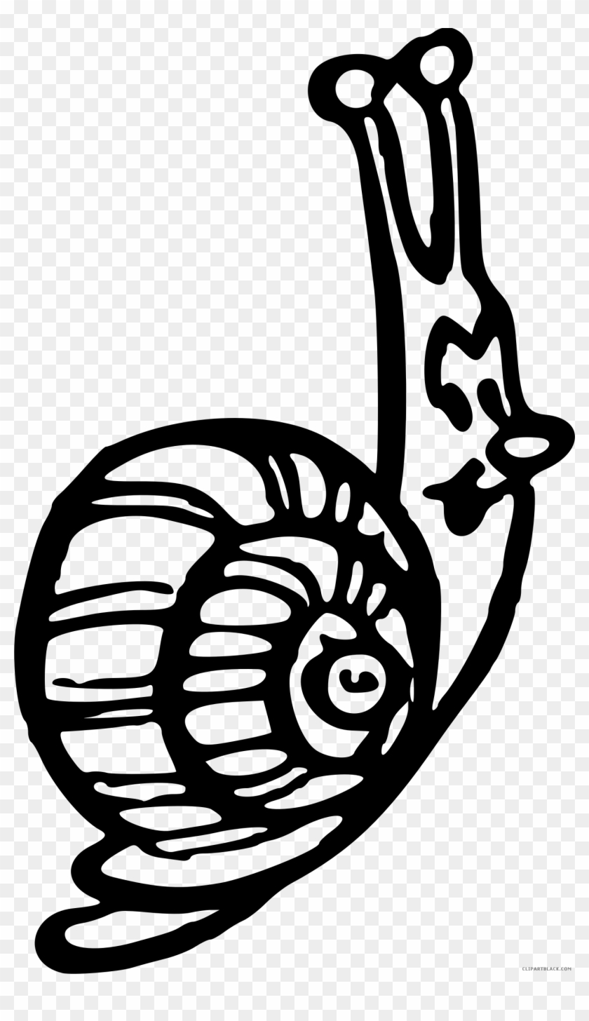 Black And White Snail Animal Free Black White Clipart - Snail #1248414