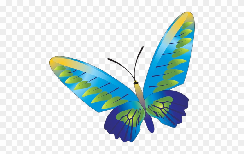Бабочки - - Просмотров - 166 - Добавил - Danjuta - - Butterfly Vector #1248432