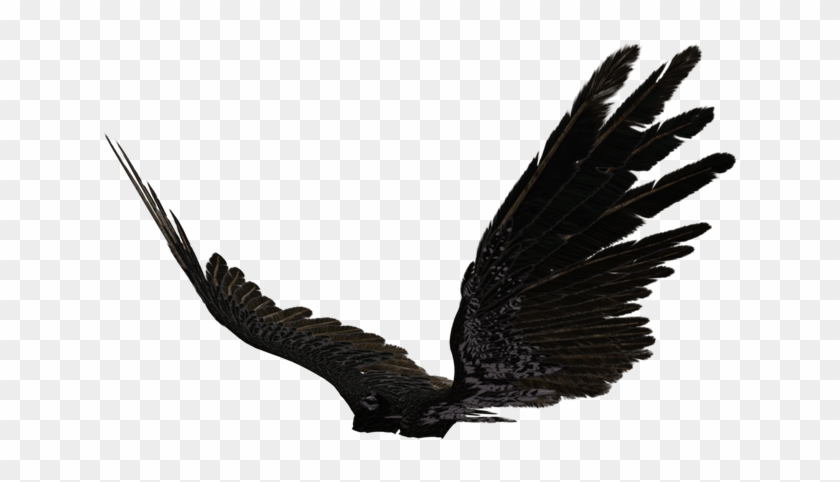 Dark Angel Clipart Transparent - Eagle Wings Side View #1248510