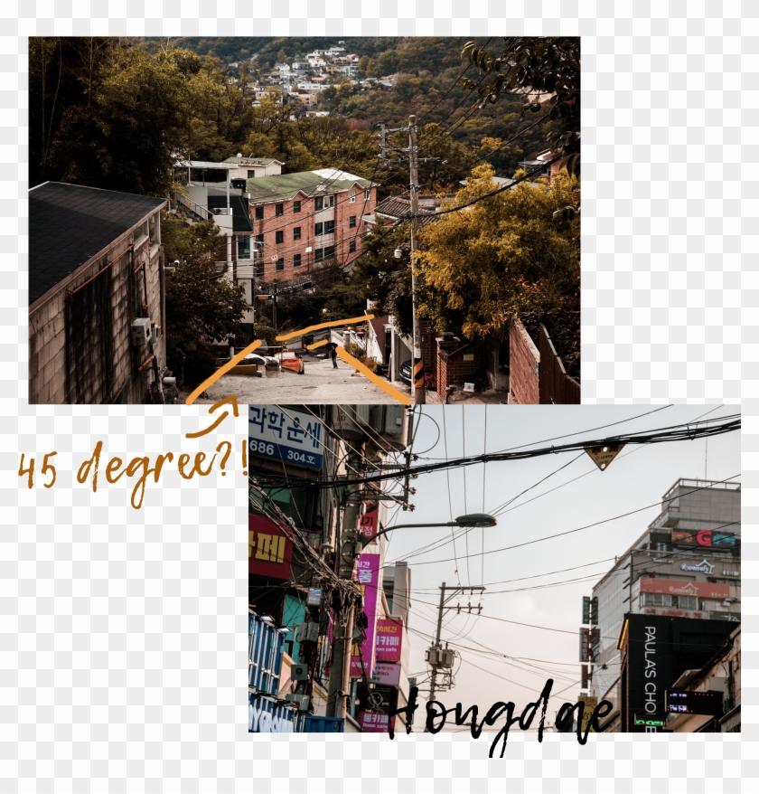 Next To A Rich Selection Of Wine Shelving - Apartment #1248656