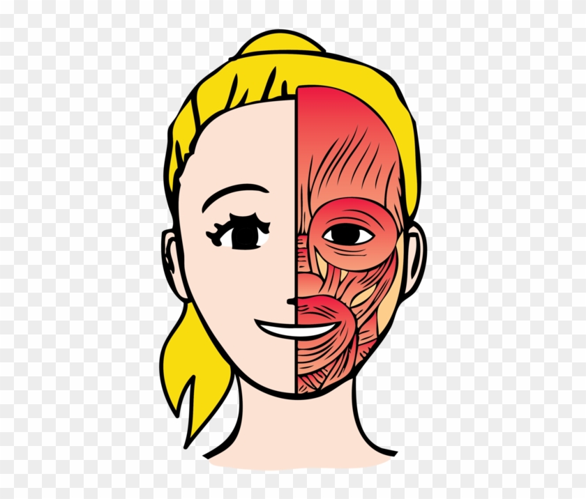 Move And Activate Them In New Ways, And Watch The Overall - Cartoon Facial Muscles #1248658