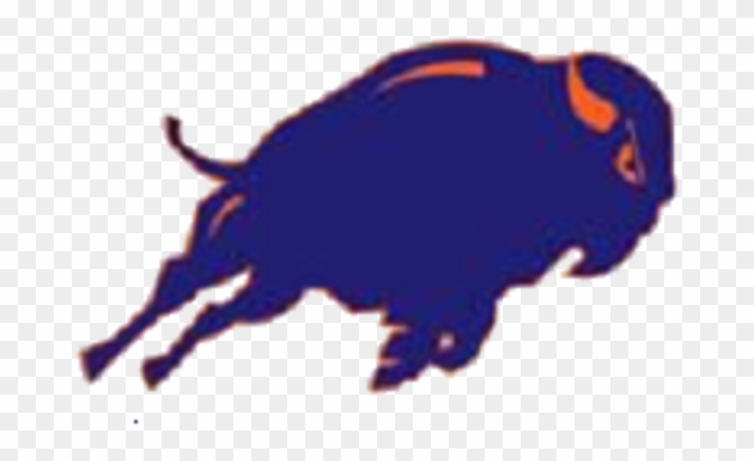 Fenton High School Bison #1248659