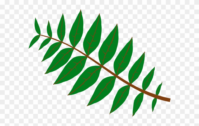 Jungle Leaves Clip Art - Jungle Leaves Clip Art #1248733