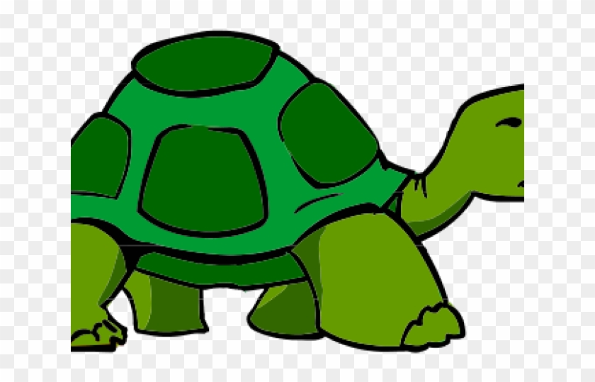 Winter Holiday Clipart - Tortoise Clipart #1248783
