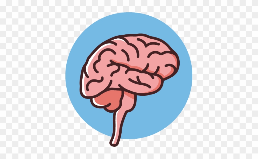 Brains Clipart Central Nervous System - Illustration #1249091