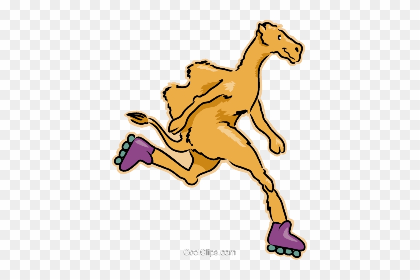 Rollerblading Camel Royalty Free Vector Clip Art Illustration - Camel Cartoon #1249542