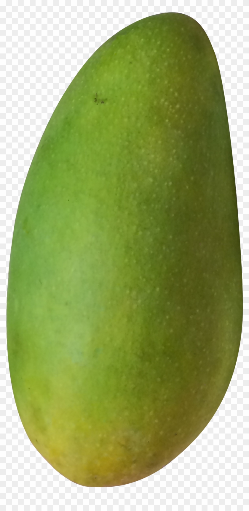 Mango Avocado - A Mango - Mango #1249650